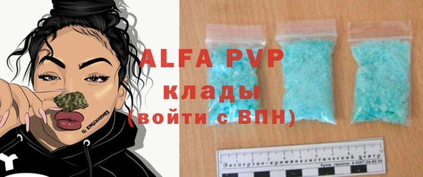 гидра Верея