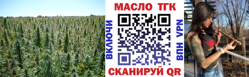 ТГК вейп  Кедровый 