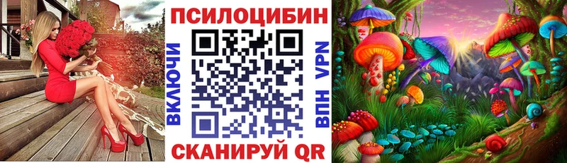 Псилоцибиновые грибы ЛСД  Кедровый 